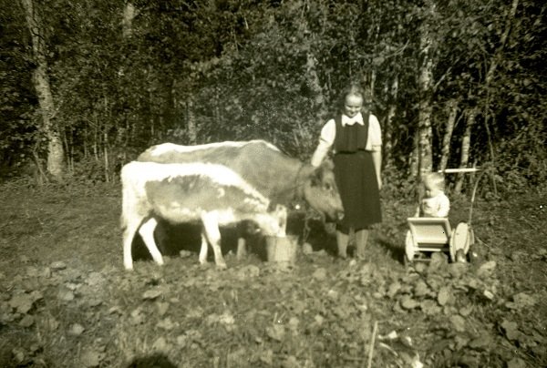 AiliPekkaÄpyli