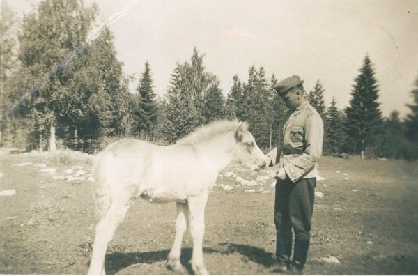 Martti ja Hilu varsa